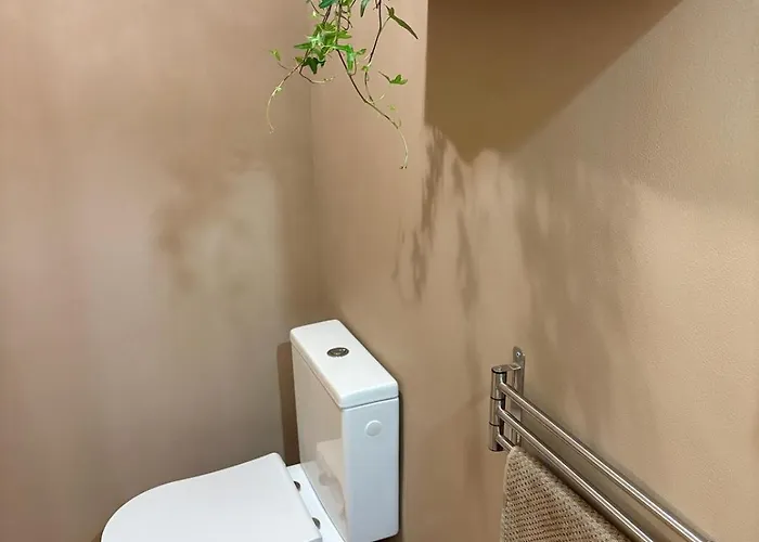 Authentic Provencal Appartement